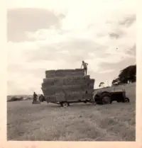 rattery-farming-1