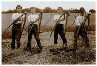 rattery-farming-4