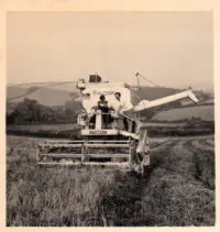 rattery-farming-3